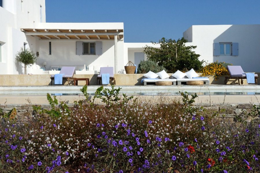 luxury villas - wild flowers with pool view and sun beds