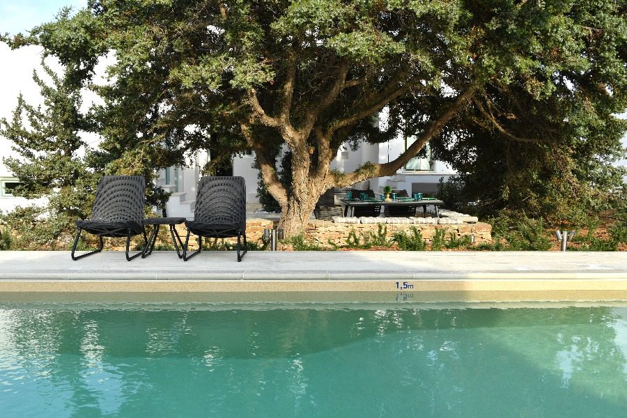 luxury villas - pool with trees