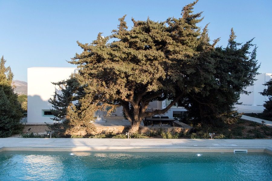 luxury villas - pool with tree