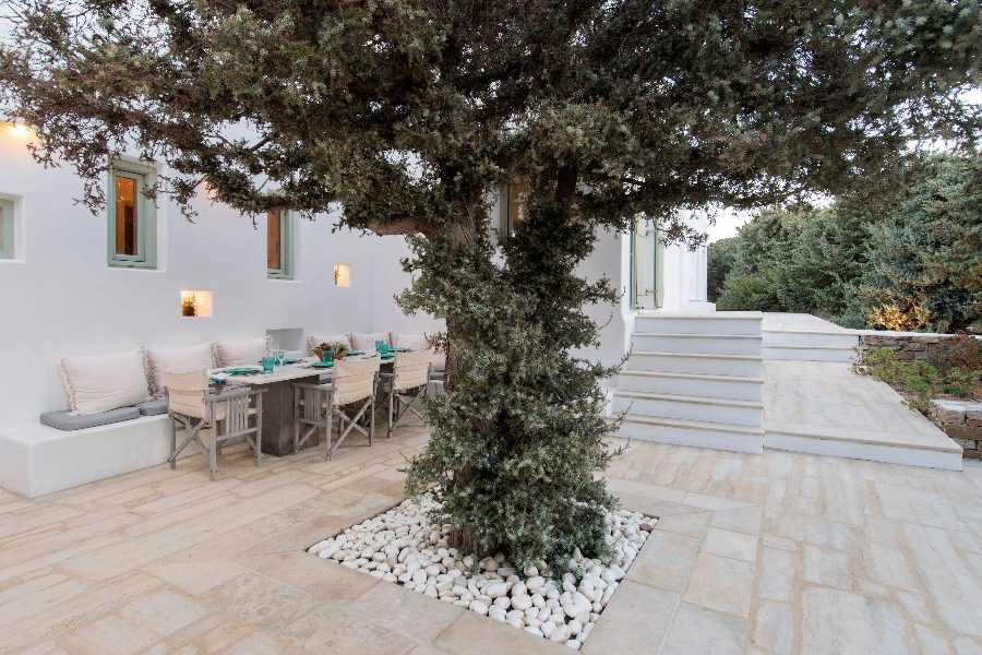 luxury villas - terrace with beautiful old tree