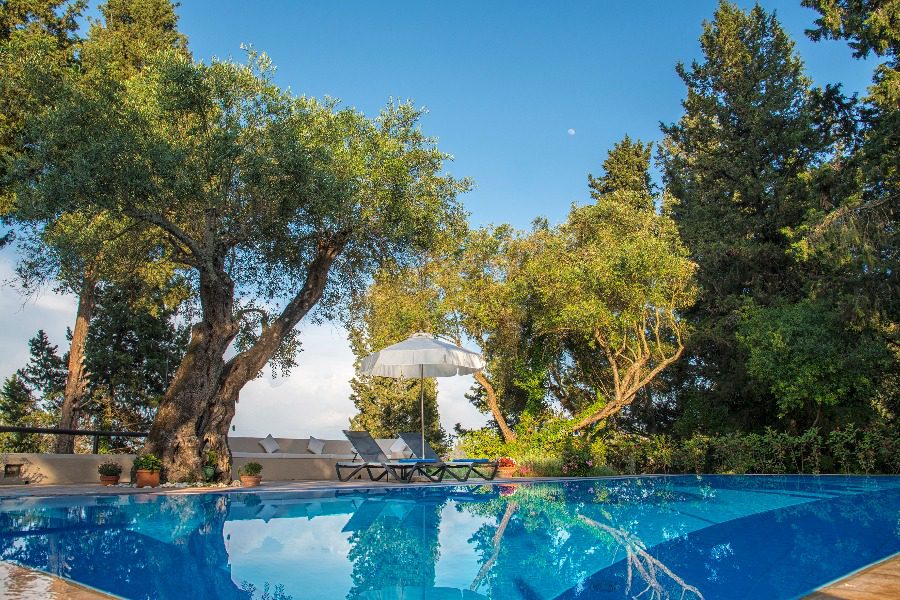 luxury villas - pool in beautiful garden with sun beds
