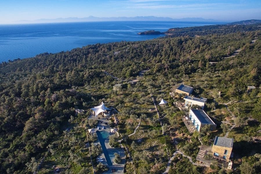 luxury villas - drone shot of villa in green garden close to the sea