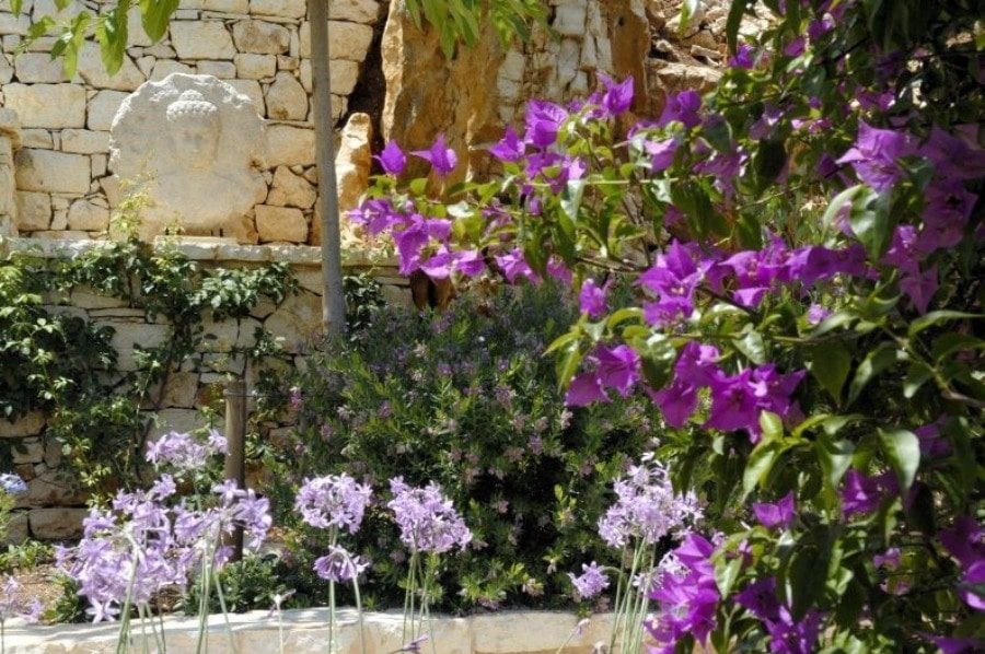 luxury villas - flowers in front of stoney wall