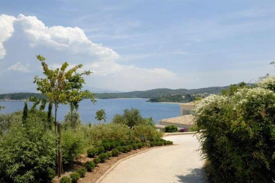 luxury villas - walkway to the villa in green surrounding with sea view