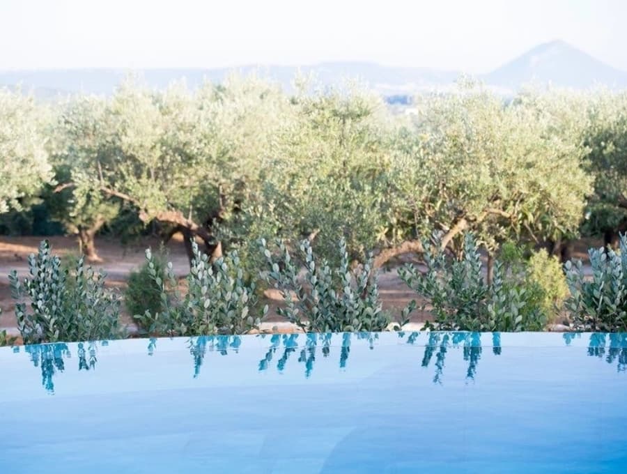 luxury villas - pool with view to olive trees