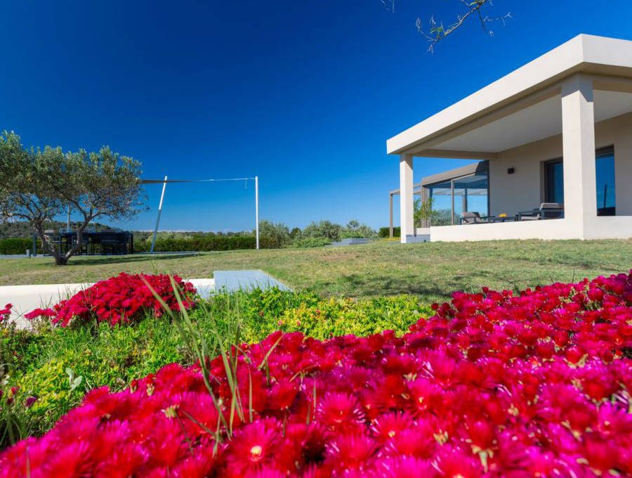 luxury villas - red flowers and villa in the background